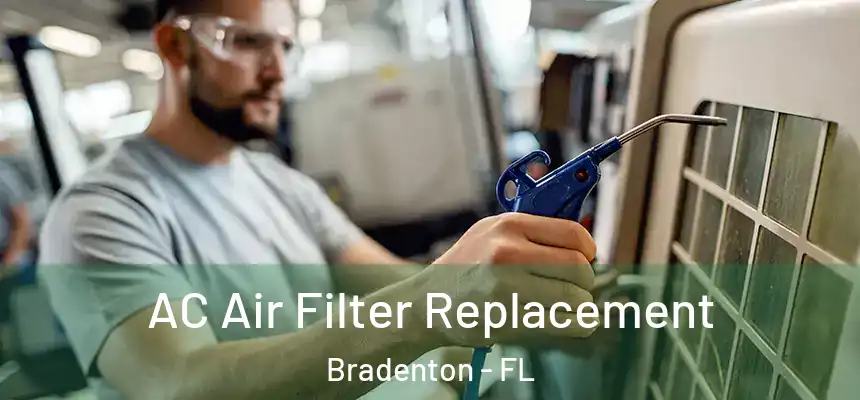 AC Air Filter Replacement Bradenton - FL