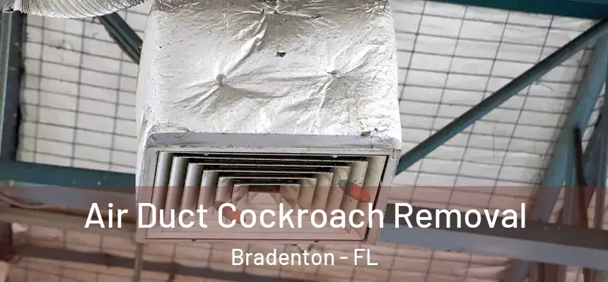 Air Duct Cockroach Removal Bradenton - FL