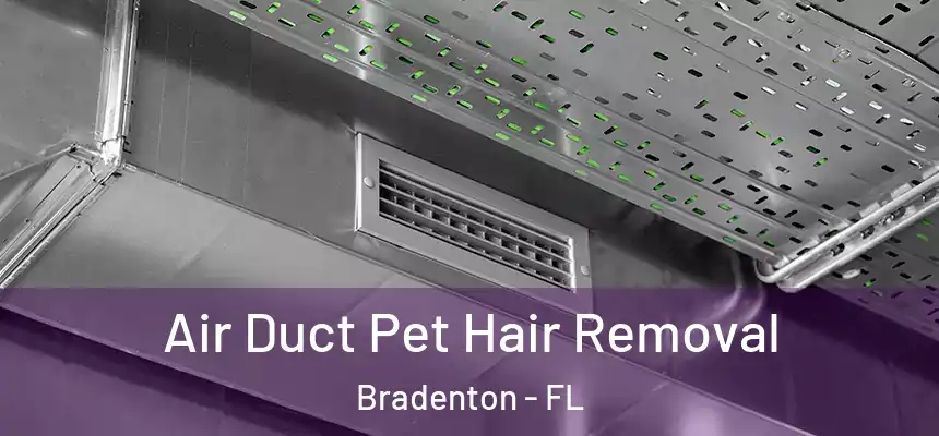 Air Duct Pet Hair Removal Bradenton - FL