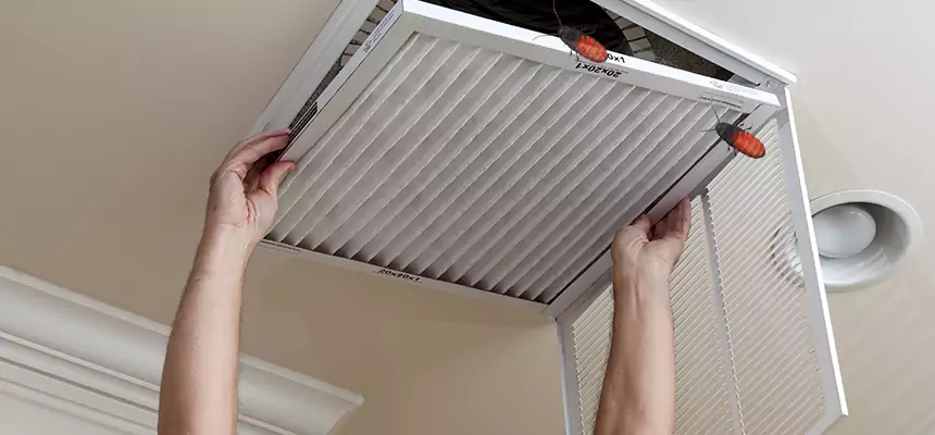Preventive Cockroach-Proofing for Ducts in Bradenton