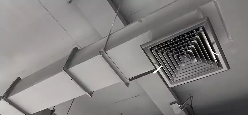 Our Rodent Droppings In Vents Services in Bradenton, FL