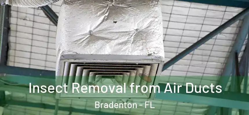 Insect Removal from Air Ducts Bradenton - FL