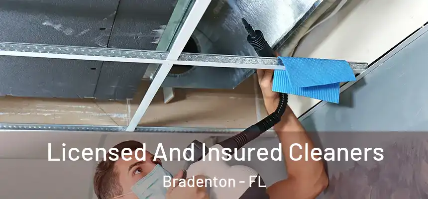 Licensed And Insured Cleaners Bradenton - FL
