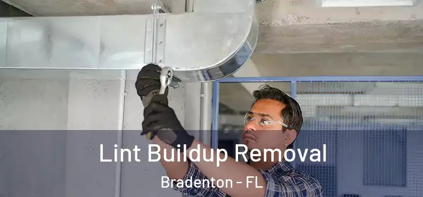 Lint Buildup Removal Bradenton - FL