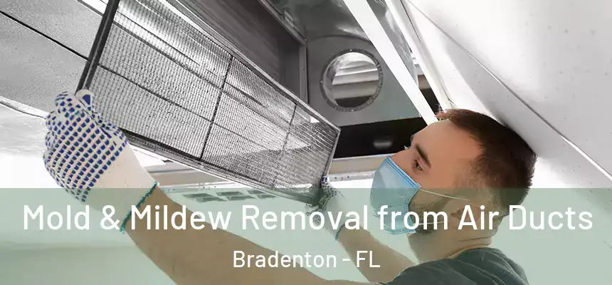 Mold & Mildew Removal from Air Ducts Bradenton - FL