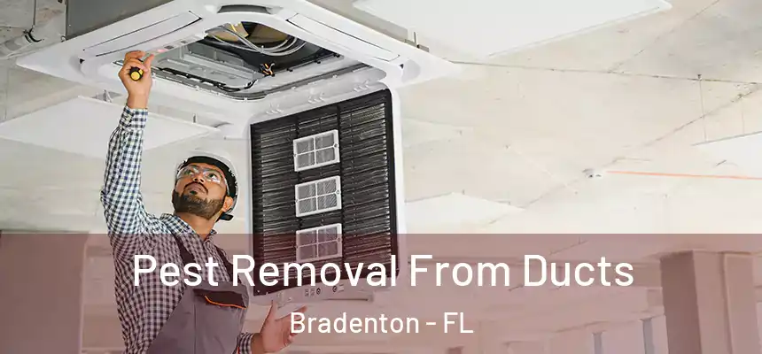 Pest Removal From Ducts Bradenton - FL