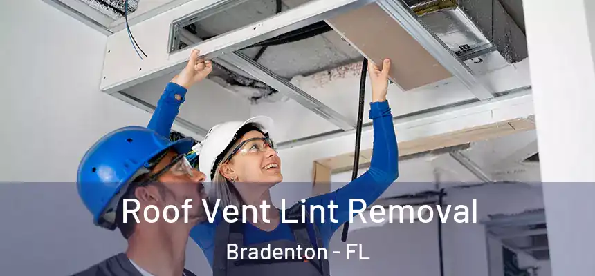 Roof Vent Lint Removal Bradenton - FL