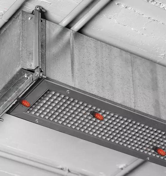 Affordable Insect Removal from Air Ducts in Bradenton, FL