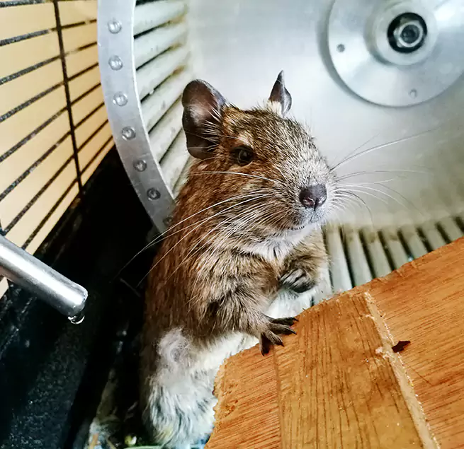 Why Homeowners & Businesses Trust Us Bradenton, FL?